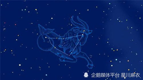 水瓶座运势星座(水瓶座运势及运程) 水瓶座运势星座(水瓶座运势及运程)