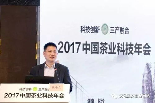 国泰环保:公司控股股东、实际控制人、董事长陈柏校解除留置 国泰环保:公司控股股东、实际控制人、董事长陈柏校解除留置