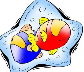 双鱼男疯狂爱一个人（双鱼男爱一个人得样子是什么）