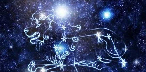 9月1日是什么星座女生(阳历9月1日是什么星座女) 9月1日是什么星座女生(阳历9月1日是什么星座女)