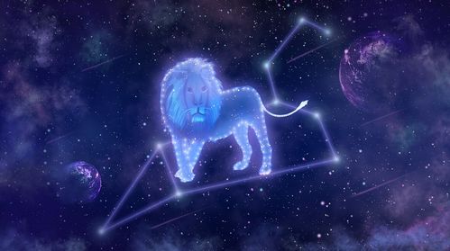 注定和狮子座结婚的星座（注定和狮子座结婚的星座是水瓶座）