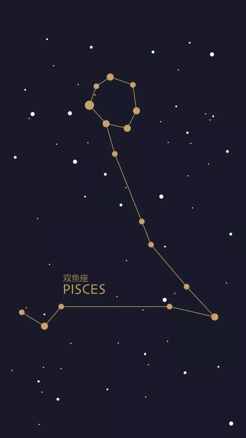 十二星座的恋爱关系图片（十二星座的恋爱关系图片大全）