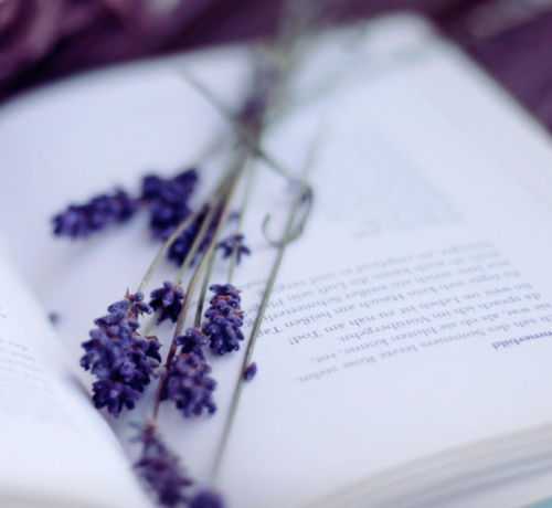 读书最厉害的星座女(读书最好的星座) 读书最厉害的星座女(读书最好的星座)