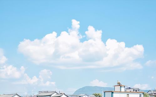 越来越瘦的五大星座女（越来越瘦的五大星座男）