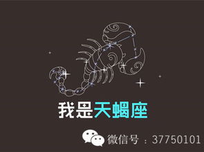 火星在天蝎才是真天蝎(什么叫火星天蝎) 火星在天蝎才是真天蝎(什么叫火星天蝎)