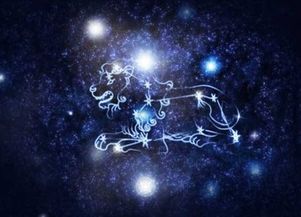 九月初十是什么星座的（九月初十是什么星座的农历）