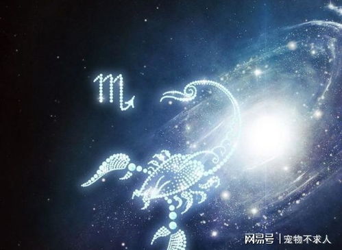 11月19日是什么星座男生(11月19日是什么星座男阳历) 11月19日是什么星座男生(11月19日是什么星座男阳历)