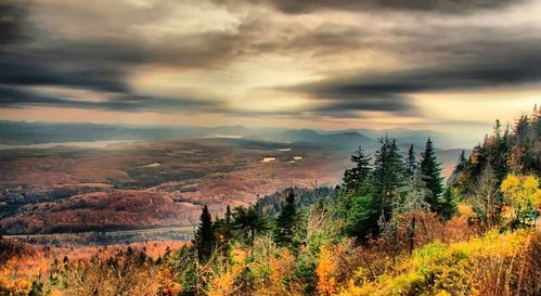 1998年5月29日是什么星座(1998年5月29号是什么星座) 1998年5月29日是什么星座(1998年5月29号是什么星座)