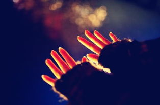 水象(水象和火象) 水象(水象和火象)