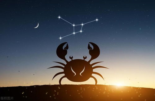 巨蟹座下半年运势(巨蟹座下半年运势详解) 巨蟹座下半年运势(巨蟹座下半年运势详解)