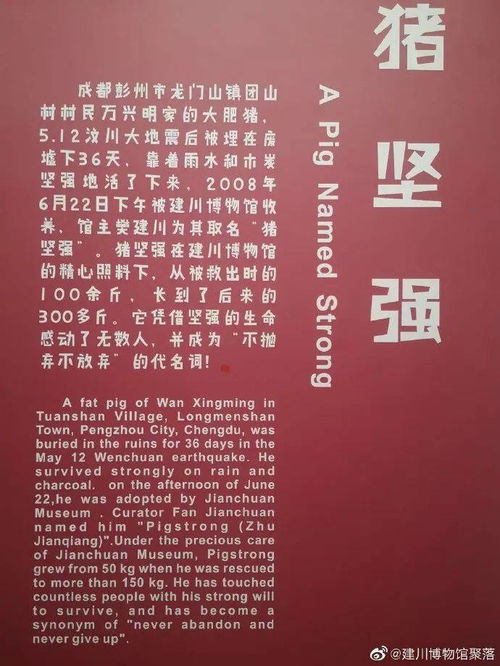 2月14日是什么星座男生(2月14份是什么星座的) 2月14日是什么星座男生(2月14份是什么星座的)