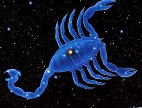 天蝎座和什么座最配男（天蝎座和什么座最配男孩子）