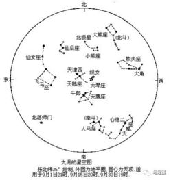 12星座的顺序排列(12星座顺序表) 12星座的顺序排列(12星座顺序表)