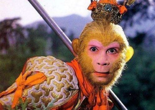 火象三傻谁是大傻(火象三傻谁是大傻谁是小傻) 火象三傻谁是大傻(火象三傻谁是大傻谁是小傻)