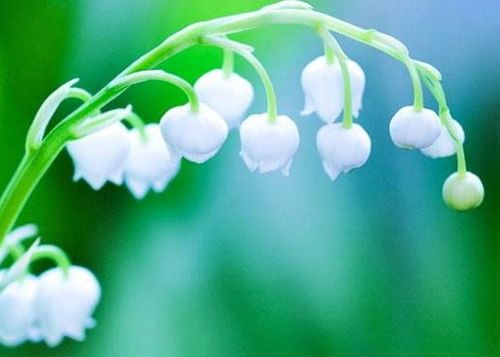 一生是享福星座女命好(一生只享福星座女命好) 一生是享福星座女命好(一生只享福星座女命好)