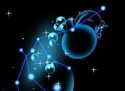 射手座和摩羯座的区别（射手座和摩羯座的区别是什么）