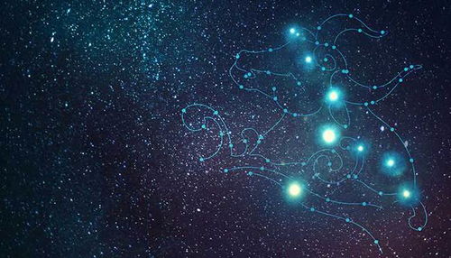 哪个星座智商最高（哪个星座智商最高男生）