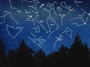 十一月星座是什么星（十一月份什么星座是什么）