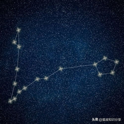 十一月星座是什么星（十一月份什么星座是什么）