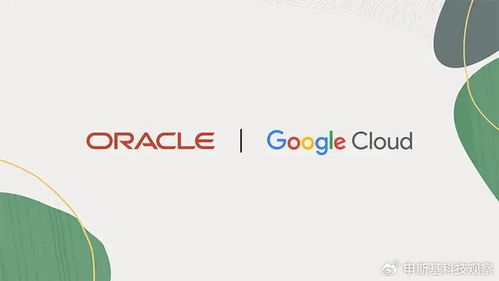 OpenAI携手甲骨文、软银:“星际之门”加速落地,在美新建五大AI数据中心 OpenAI携手甲骨文、软银:“星际之门”加速落地,在美新建五大AI数据中心