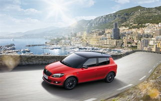 购车后如何对汽车进行合理的个性化改装? 购车后如何对汽车进行合理的个性化改装?