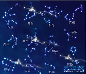 星座是按公历还是阳历算的（星座是按公历算的还是农历）