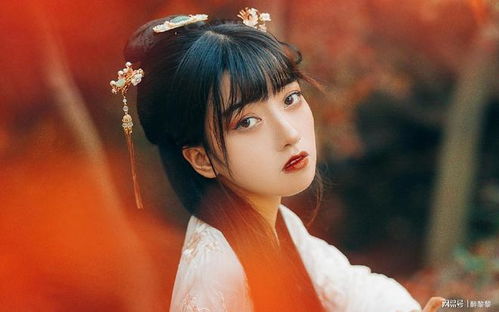 最温柔的四大星座女(最温柔的五大星座女) 最温柔的四大星座女(最温柔的五大星座女)