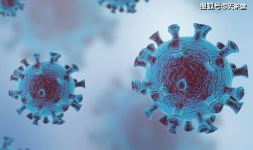 2018年10月30日是什么星座（2018年10月30号出生现在多大）