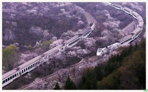1979年11月6日是什么星座(1979年11月6号是什么星座) 1979年11月6日是什么星座(1979年11月6号是什么星座)