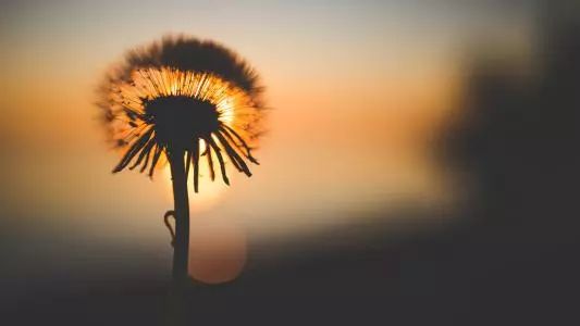 征服天蝎座最好的方式就是睡(如何征服天蝎座男人的心) 征服天蝎座最好的方式就是睡(如何征服天蝎座男人的心)