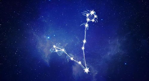 哪个星座是上帝的孩子（什么星座是上帝的弃儿）