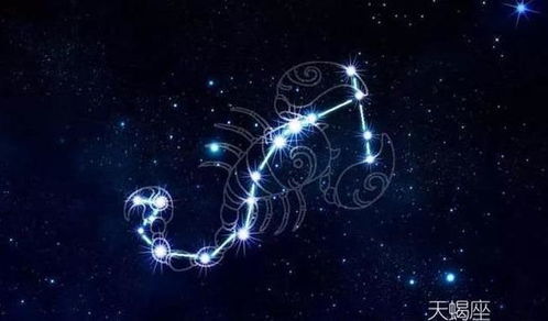 11月10号什么星座(天蝎座男生性格特点) 11月10号什么星座(天蝎座男生性格特点)