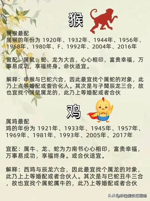 夫妻配对(夫妻配对生肖) 夫妻配对(夫妻配对生肖)