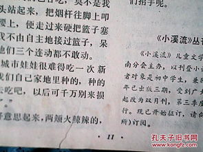 1981年11月19日是什么星座（1981年11月19日是什么命）