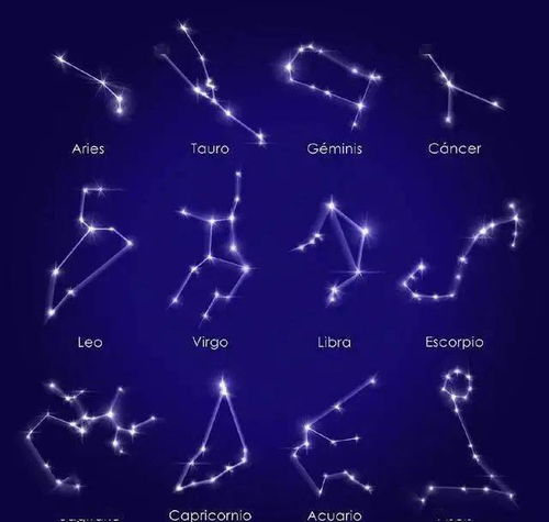 月亮星座和太阳星座的算法（月亮星座和太阳星座什么意思）