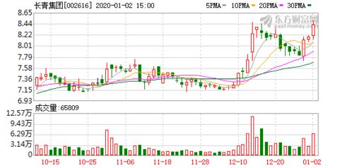 长青集团(002616.SZ)拟投建茂名长青热电联产项目二期及配套管网工程 长青集团(002616.SZ)拟投建茂名长青热电联产项目二期及配套管网工程