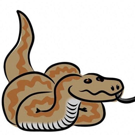 属蛇金牛座男生性格(属蛇金牛座的男人) 属蛇金牛座男生性格(属蛇金牛座的男人)