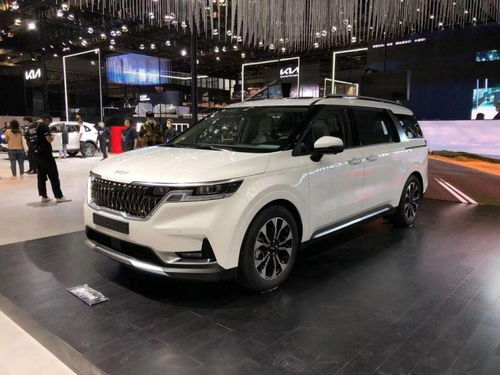 火象星座哪三个(火象星座哪三个几月出生的) 火象星座哪三个(火象星座哪三个几月出生的)