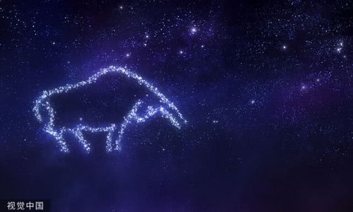 什么星座(什么星座是学霸) 什么星座(什么星座是学霸)