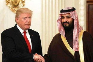 沙特阿拉伯王储下令冻结利雅得租金五年