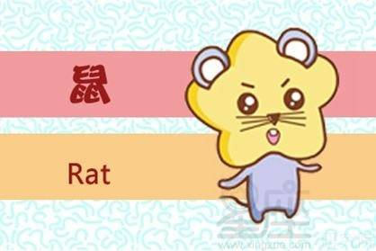 鼠人今日运势(鼠人今日运势及财运) 鼠人今日运势(鼠人今日运势及财运)