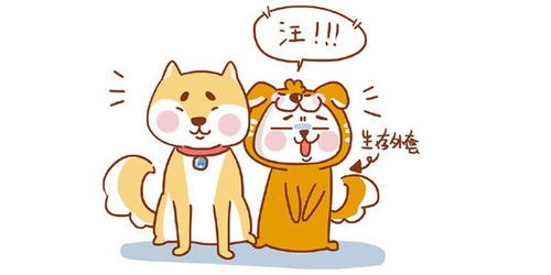 土象星座的性格特点（土象星座性格特点及脾气）