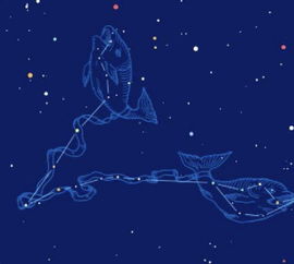 天上的星座图片（天上的星座叫什么名字）