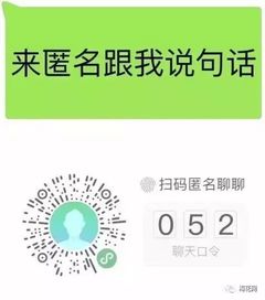 宠物医疗险火爆背后:33家财险公司推出百余款产品 更多中小险企仍在观望 宠物医疗险火爆背后:33家财险公司推出百余款产品 更多中小险企仍在观望