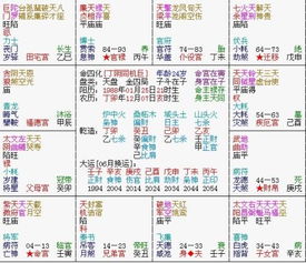 紫微斗数免费排命盘(紫微斗数免费排命盘下载) 紫微斗数免费排命盘(紫微斗数免费排命盘下载)