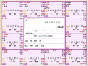紫微斗数免费排命盘(紫微斗数免费排命盘下载) 紫微斗数免费排命盘(紫微斗数免费排命盘下载)