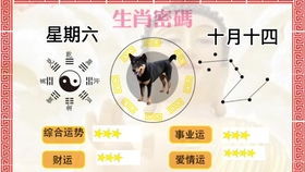 白羊座今天运势（2025年白羊座今天运势）