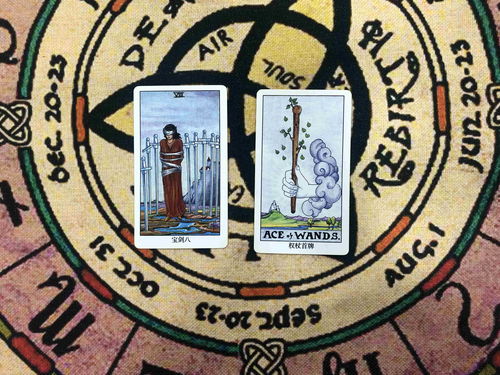 风象星座和什么星座合得来（风象星座和什么星座合得来吗）