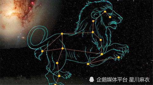 狮子座明日运势查询女（狮子座明日运势?