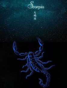 天蝎男说什么才算表白(天蝎男看上你的暗示) 天蝎男说什么才算表白(天蝎男看上你的暗示)